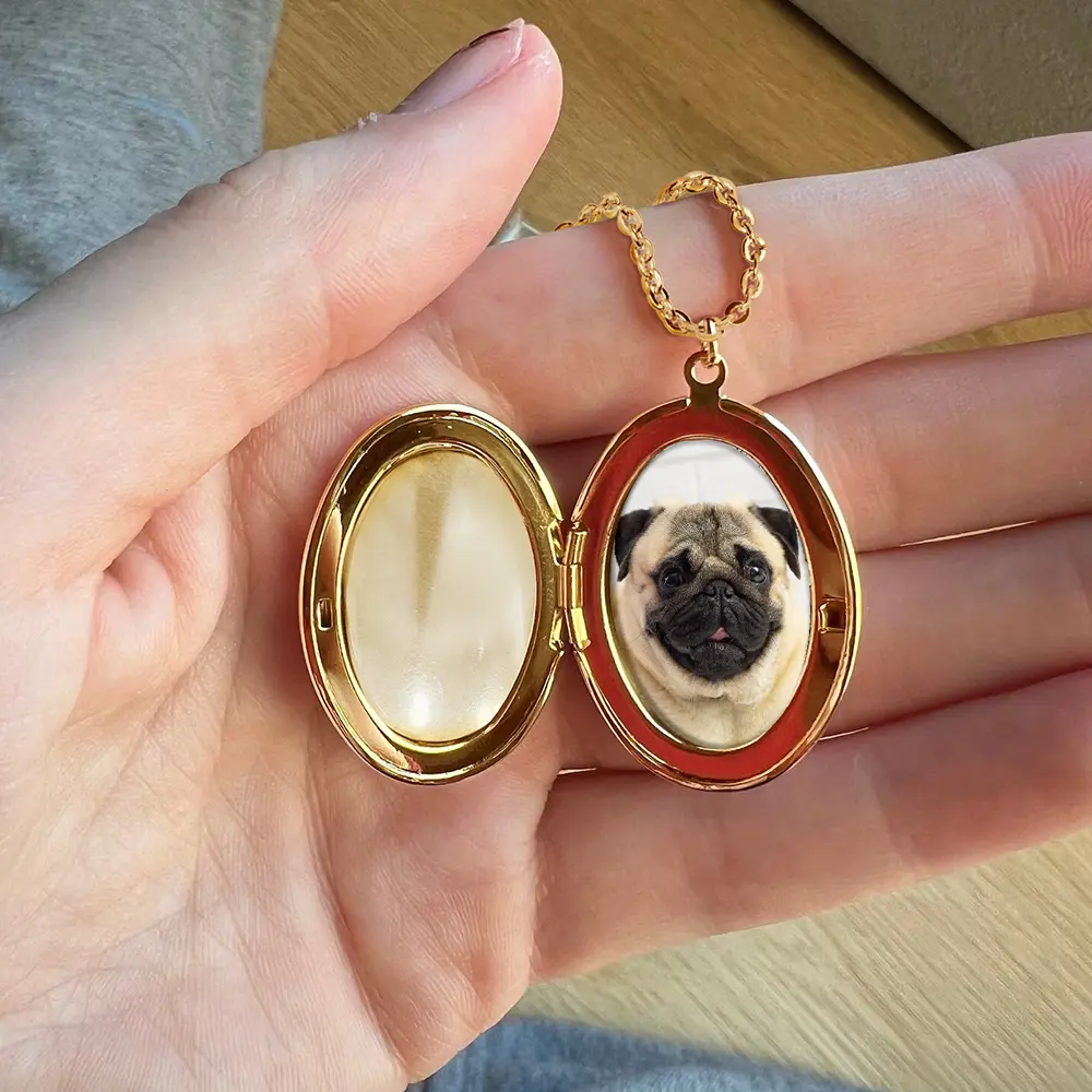 Custom Photo Pet Memorial You Left Paw Prints On My Heart - Personalized Locket Necklace - Image 4