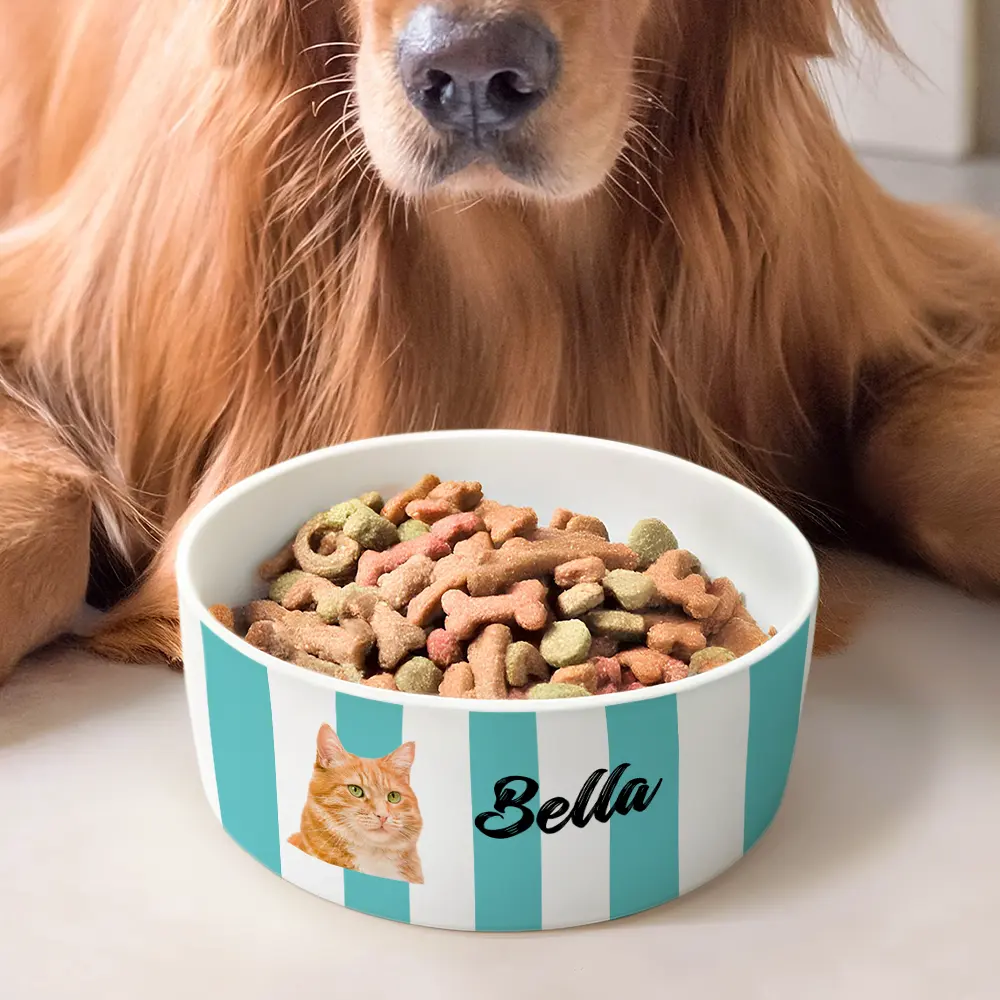 Custom Photo Pet With Name - Personalized Pet Bowl - Image 3