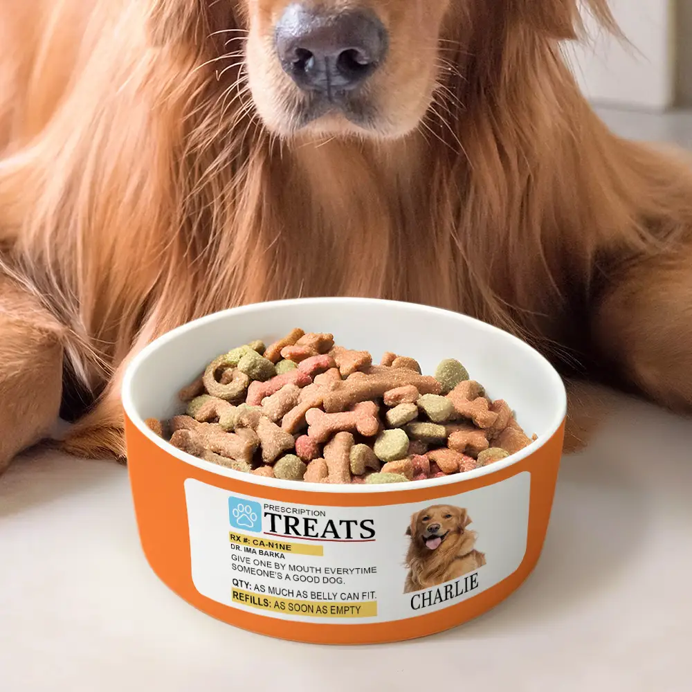 Custom Photo Prescription Treat For Pet - Personalized Pet Bowl - Image 3