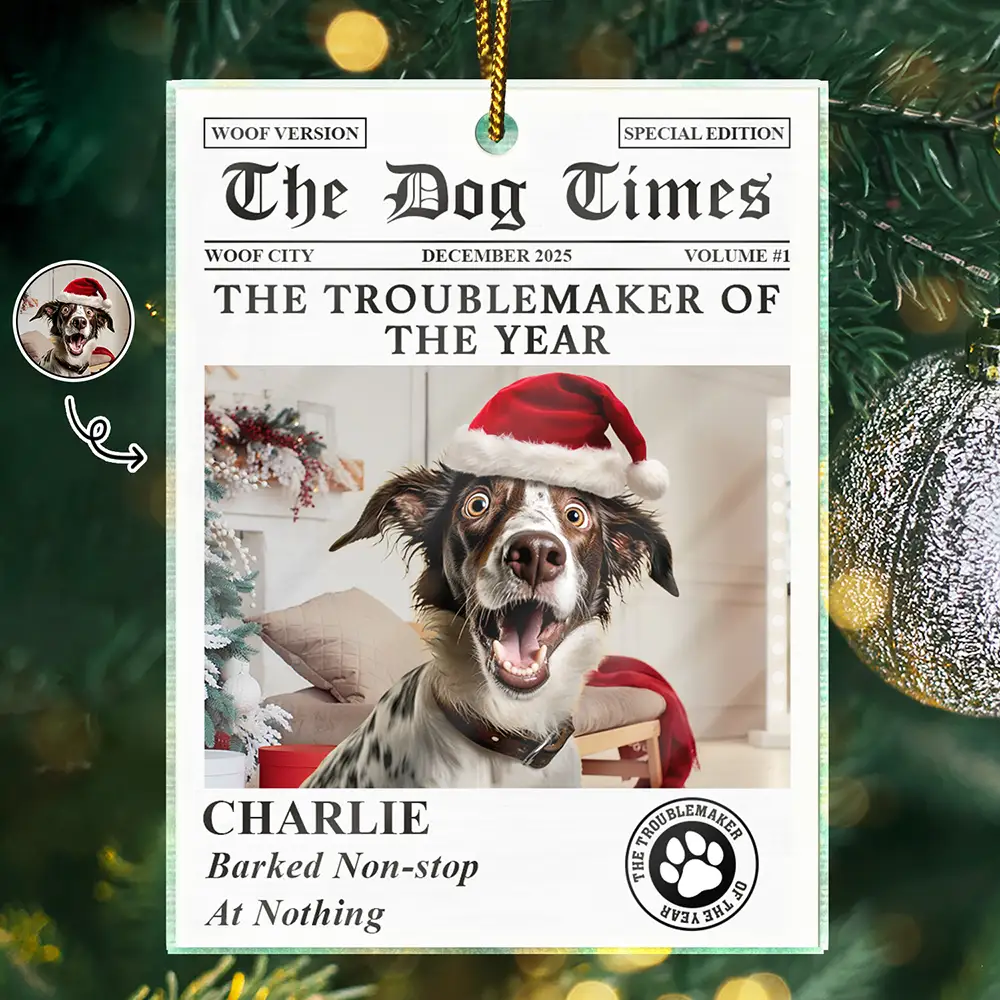 Custom Photo The Dog Times The Meow Times - Personalized Custom Shaped Acrylic Ornament - Image 2