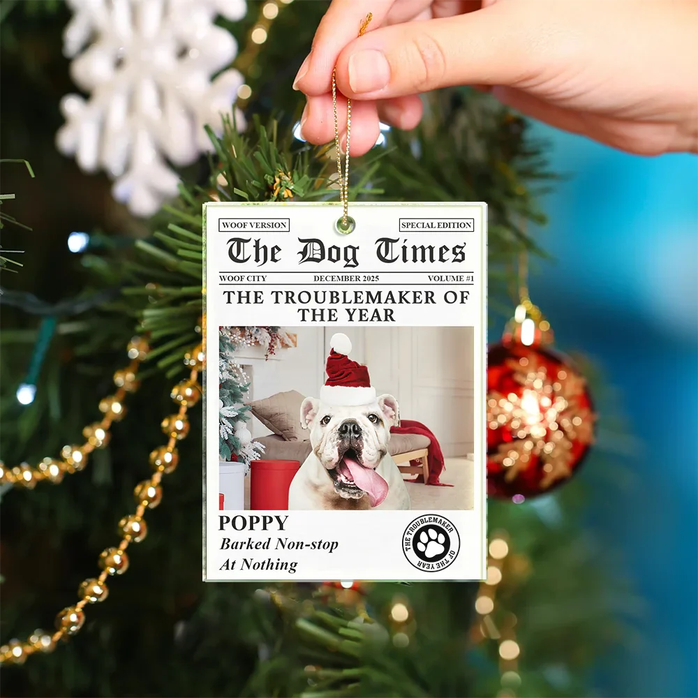 Custom Photo The Dog Times The Meow Times - Personalized Custom Shaped Acrylic Ornament - Image 5