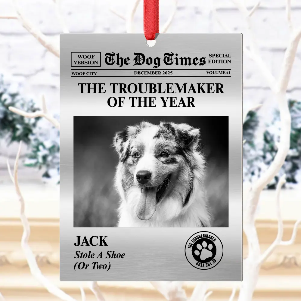 Custom Photo The Dog Times, The Meow Times - Personalized Metal Ornament - Image 4