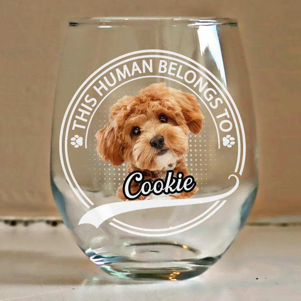 Custom Photo This Human Belongs To - Personalized Stemless Wine Glass - Image 5