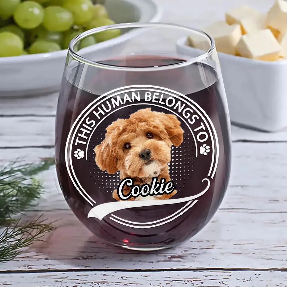 Custom Photo This Human Belongs To - Personalized Stemless Wine Glass - Image 7