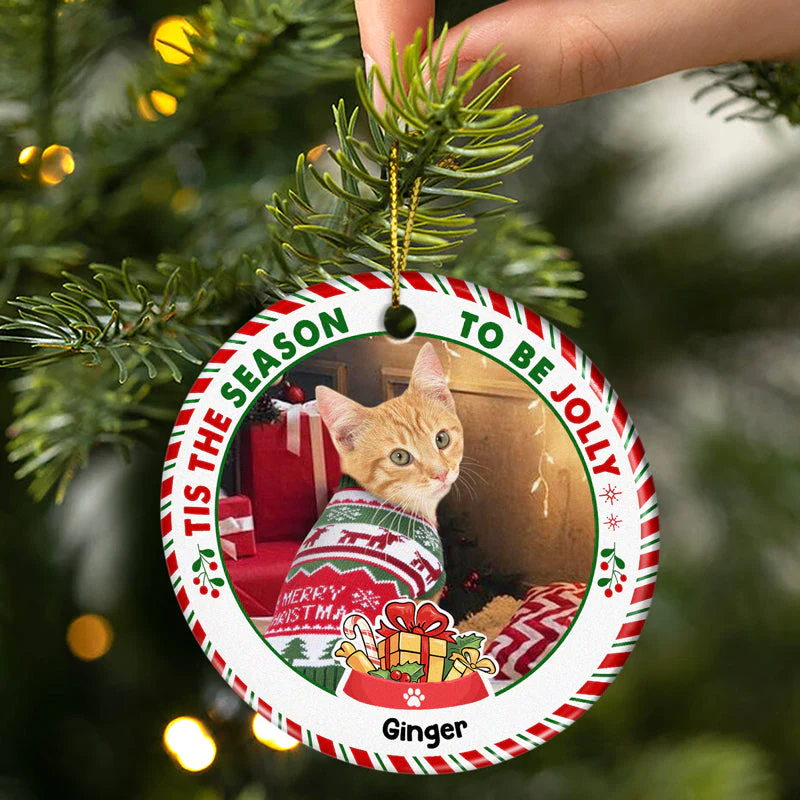Custom Photo Tis The Season To Be Jolly Dog Cat Christmas - Gift For Dog And Cat Lovers - Personalized Custom Circle Ceramic Ornament - Image 2