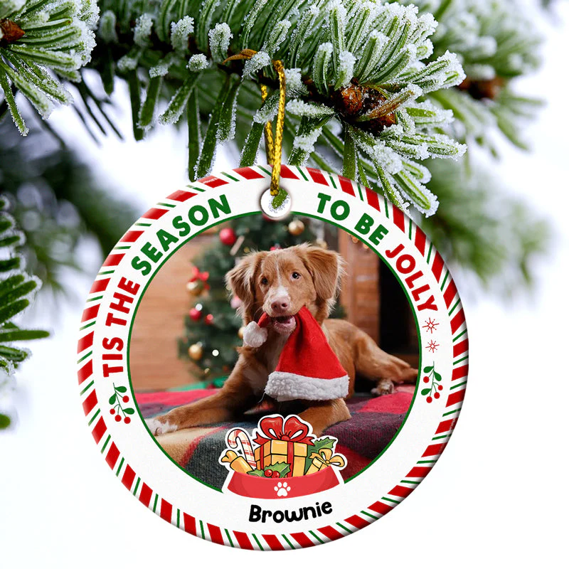 Custom Photo Tis The Season To Be Jolly Dog Cat Christmas - Gift For Dog And Cat Lovers - Personalized Custom Circle Ceramic Ornament - Image 3