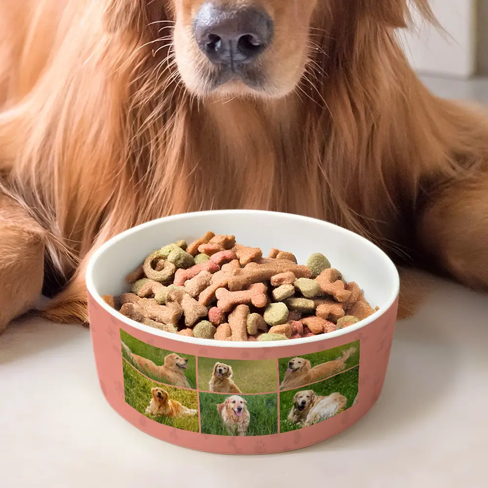 Custom Photo To The World - Personalized Pet Bowl - Image 2