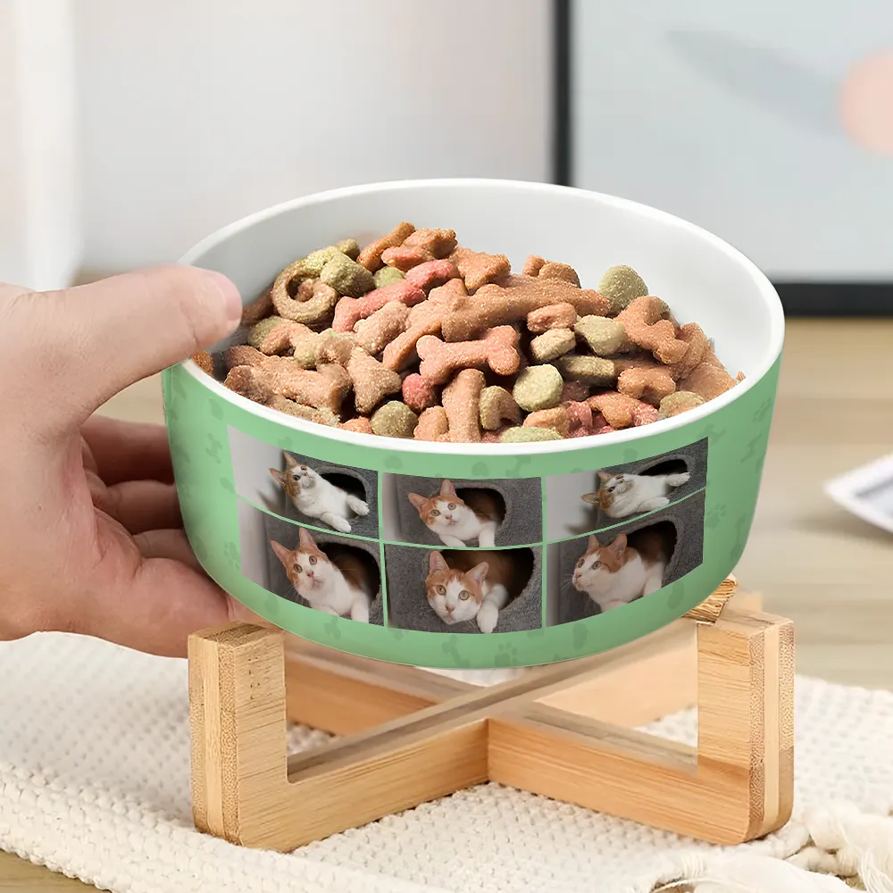 Custom Photo To The World - Personalized Pet Bowl - Image 3