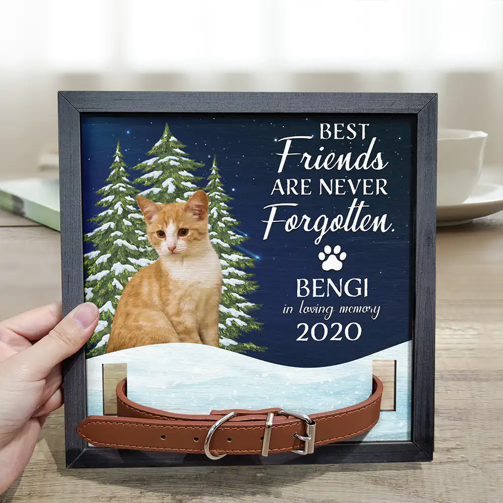 Custom Photo You Are My Favorite Hello And Hardest Goodbye Pet Face Memorial - Personalized Pet Loss Sign, Collar Frame - Image 4