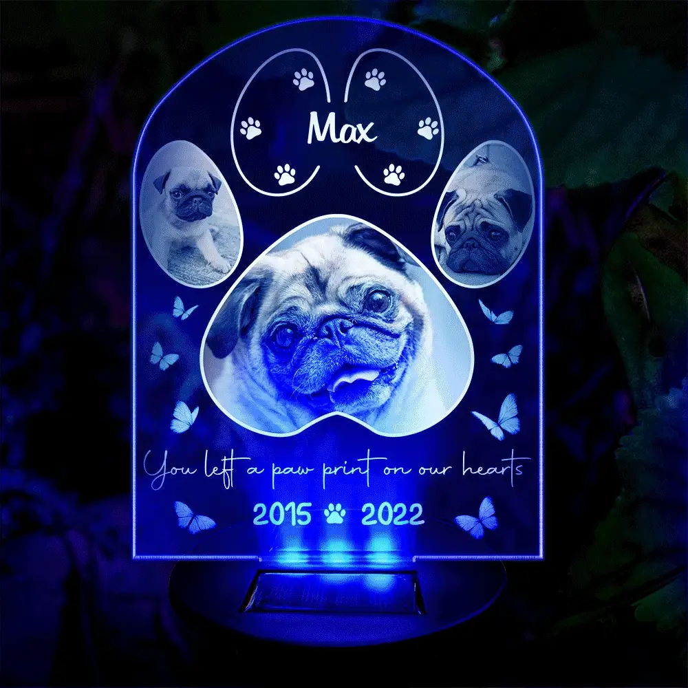 Custom Photo You Left A Paw Print On Our Hearts - Personalized Solar Light - Image 2