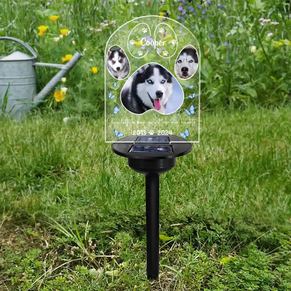 Custom Photo You Left A Paw Print On Our Hearts - Personalized Solar Light - Image 4