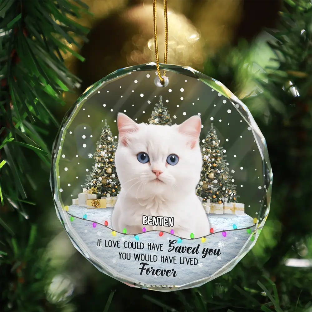 Custom Photo You Left Paw Prints Pet Memorial - Personalized Circle Glass Ornament - Image 4