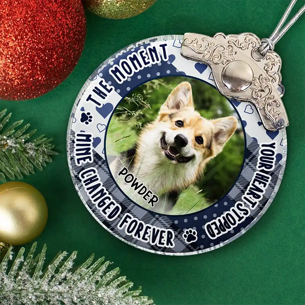Custom Photo You Were Favorite Hello Memorial Pet - Personalized Glass Ornament With Silver Cap - Image 2
