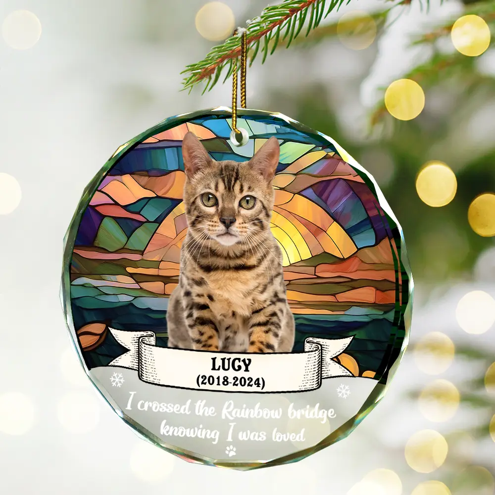 Custom Photo You Were My Favorite Hello And Hardest Goodbye - Personalized Circle Glass Ornament - Image 3