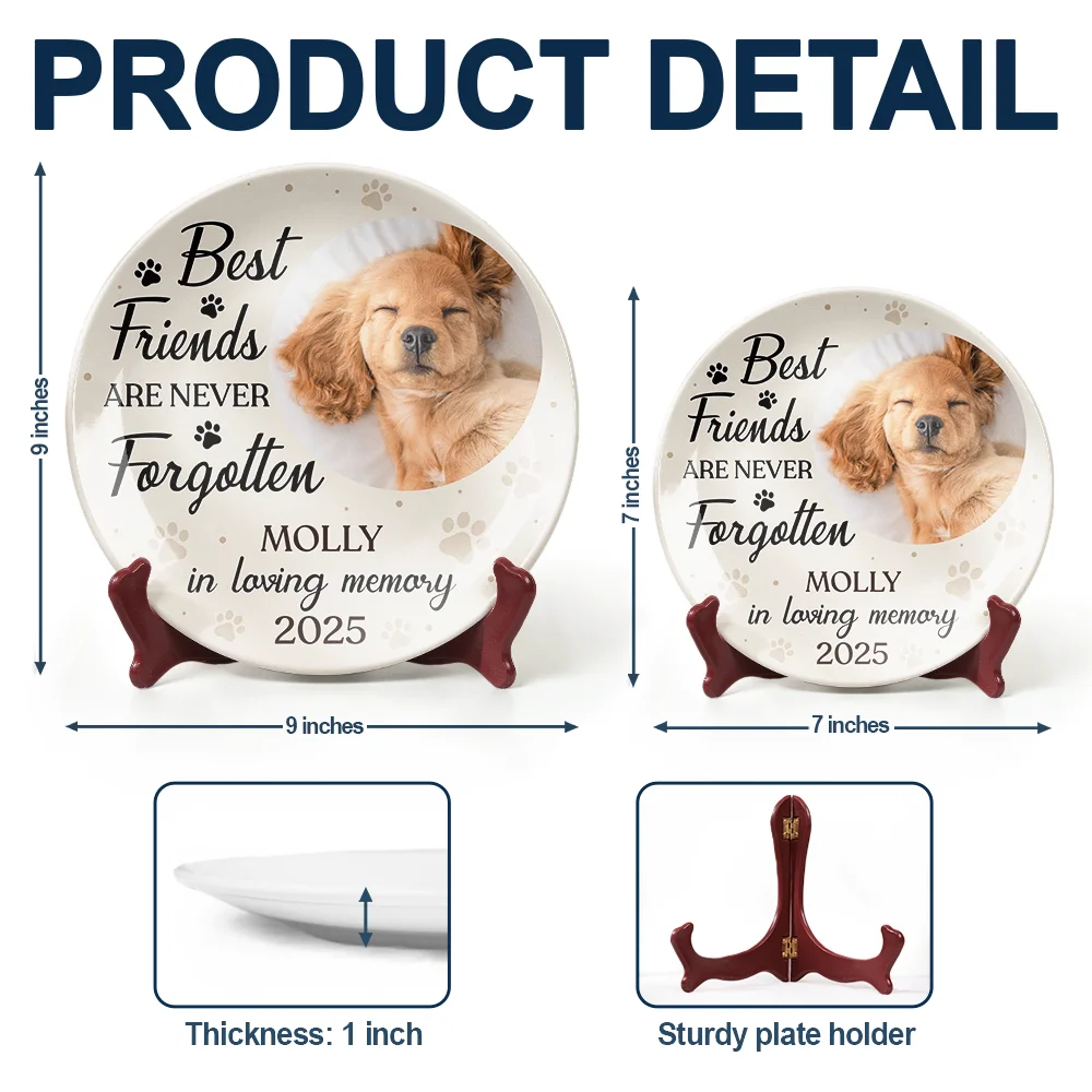 Custom Photo You Were My Favorite Hello Memorial Dog Cat - Personalized Ceramic Plate - Image 5
