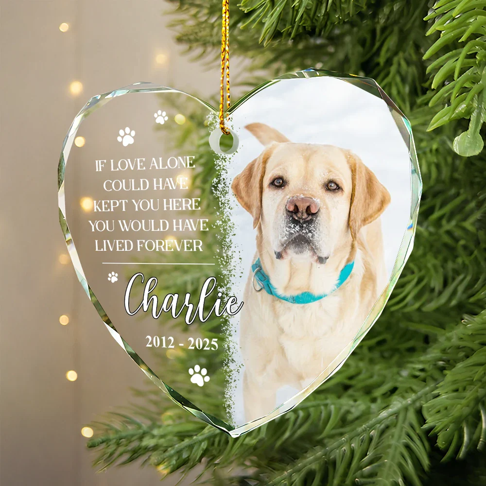 Custom Photo You Would Have Lived Forever Pet Loss - Personalized Heart Shaped Glass Ornament - Image 2