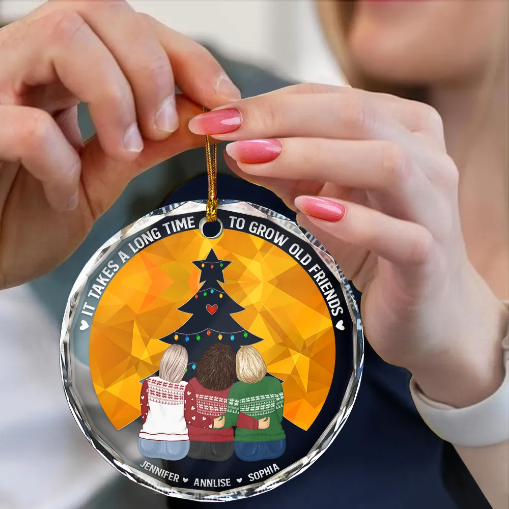 Grow Old Friends - Personalized Circle Glass Ornament - Image 4