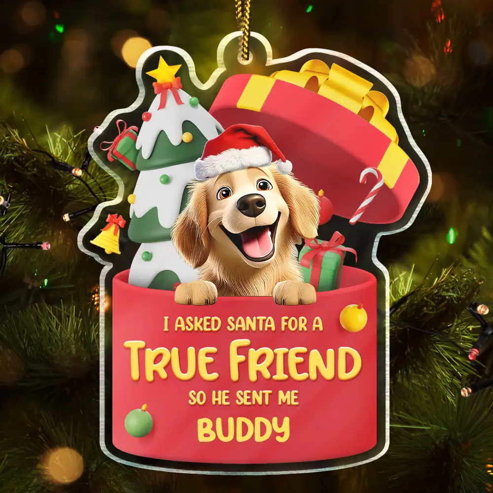 I Asked Santa For A True Friend Dog Cat 3D Effect - Personalized Custom Shaped Acrylic Ornament