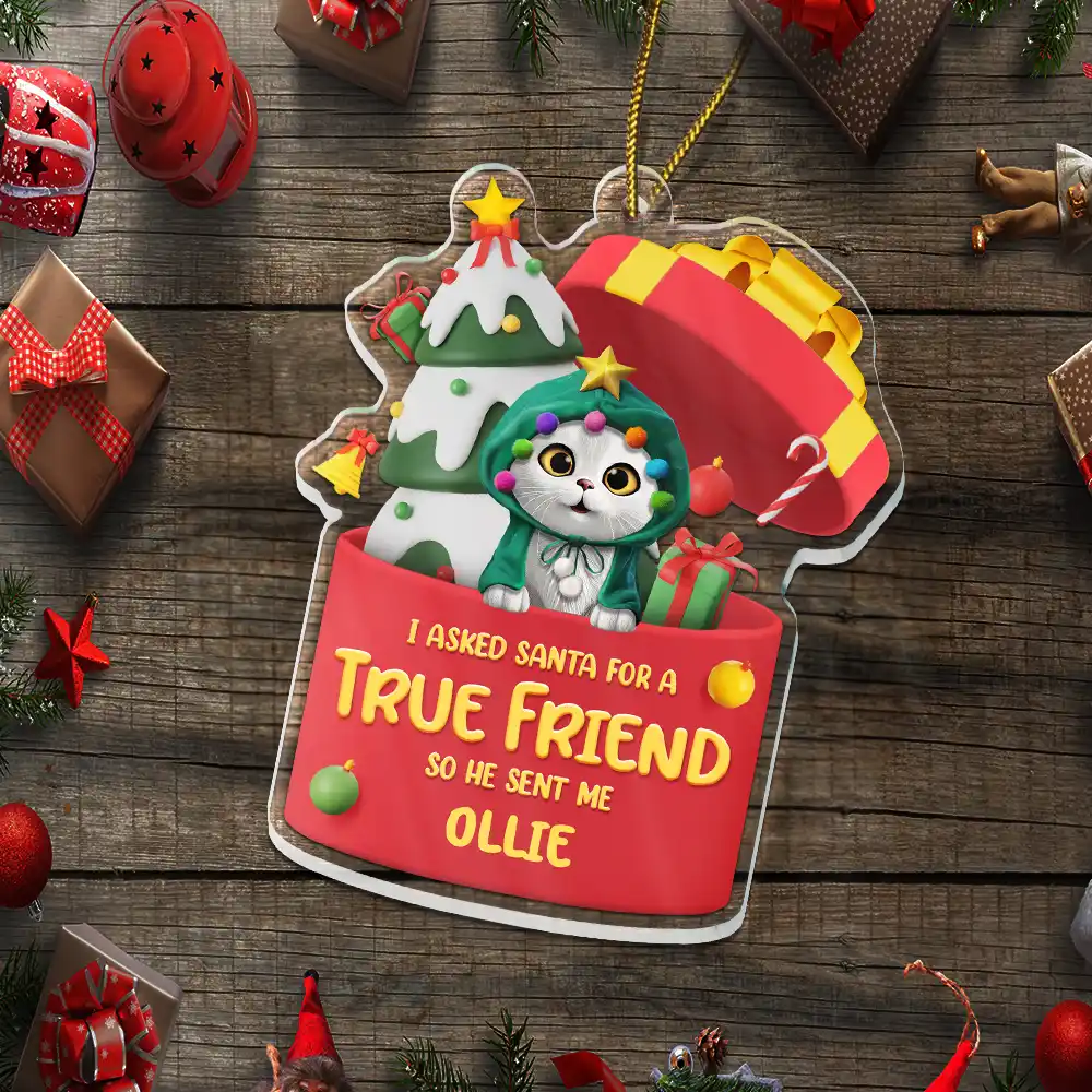 I Asked Santa For A True Friend Dog Cat 3D Effect - Personalized Custom Shaped Acrylic Ornament - Image 5