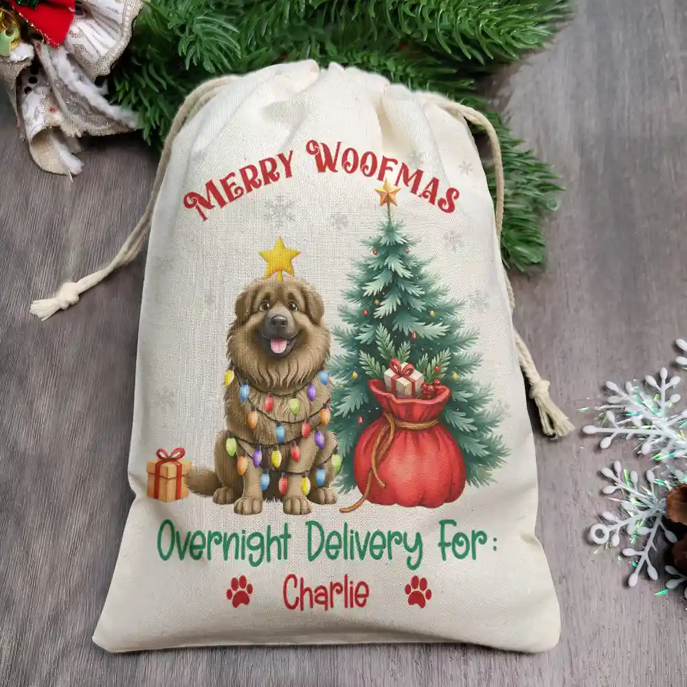 Merry Woofmas Overnight Delivery 3D Effect Dog - Personalized Favor Bag - Image 2