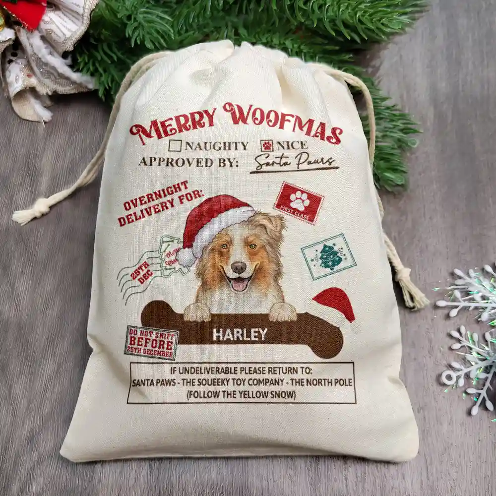 Overnight Delivery From Santa Paws - Personalized Favor Bag - Image 2