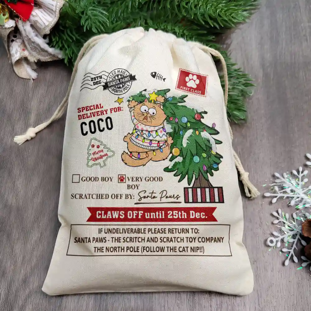 Special Delivery For Cat Scratching - Personalized Favor Bag - Image 2