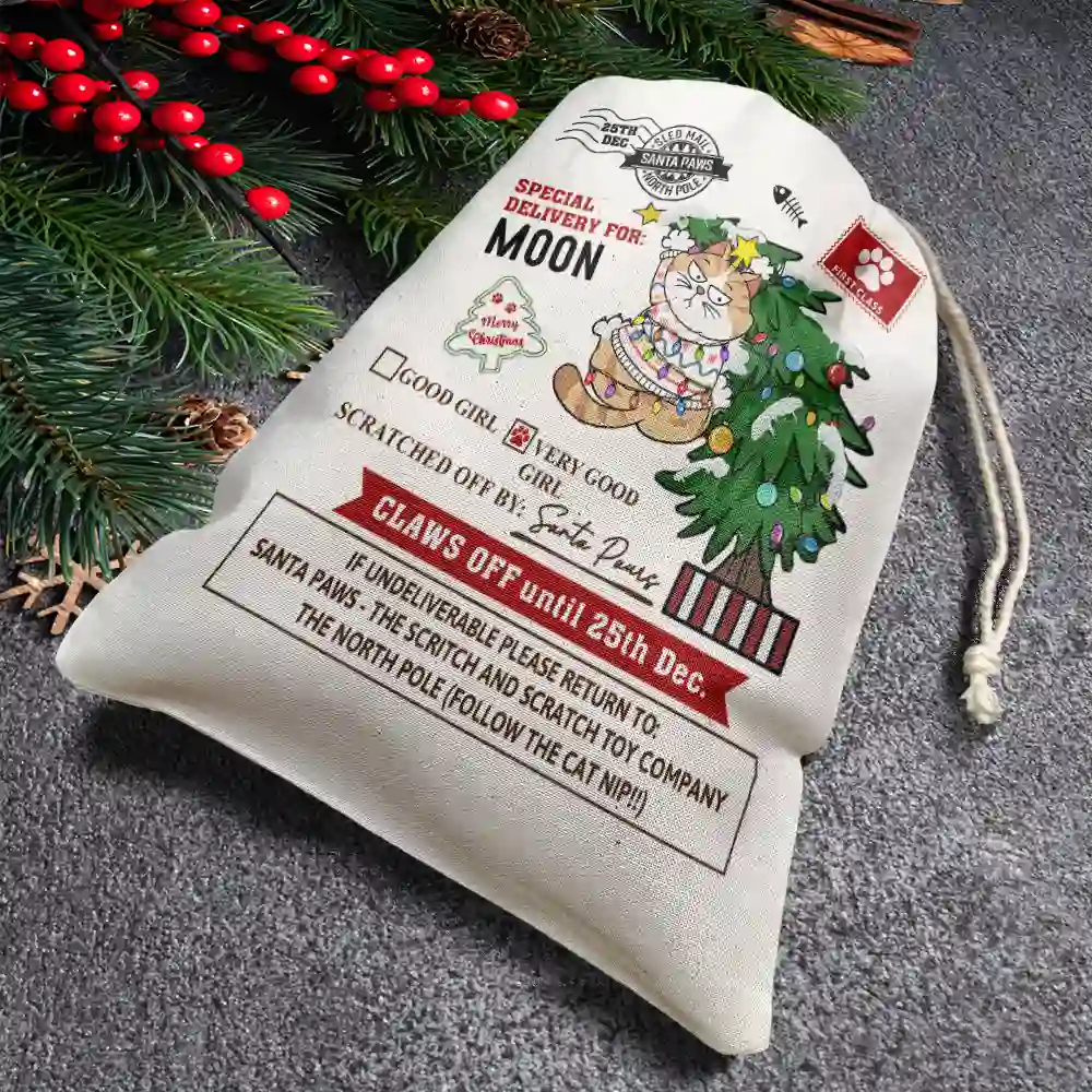 Special Delivery For Cat Scratching - Personalized Favor Bag - Image 4