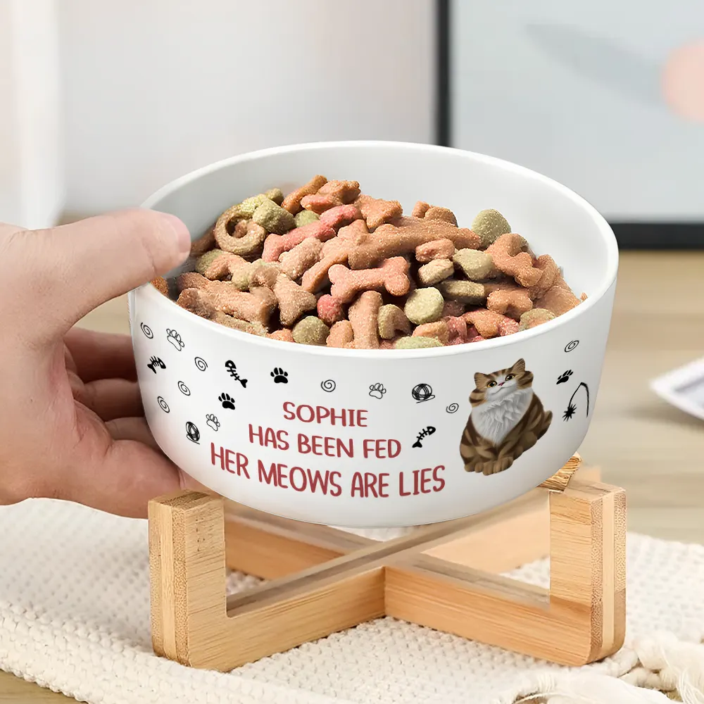 The Meows Are Lies - Personalized Pet Bowl - Image 2