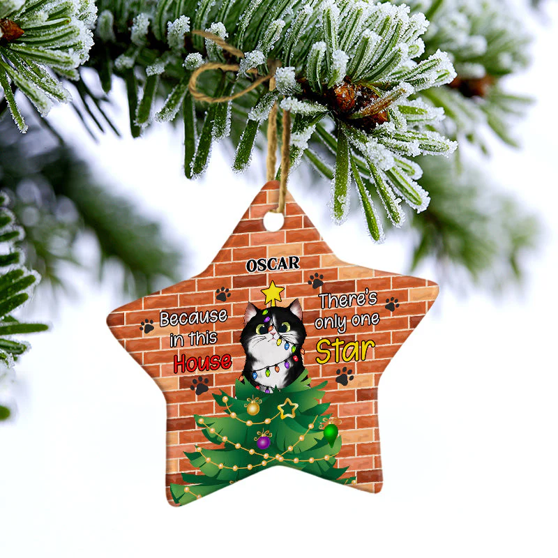 There's Only One Star - Christmas Gift For Cat Lovers - Personalized Custom Star Ceramic Ornament - Image 3